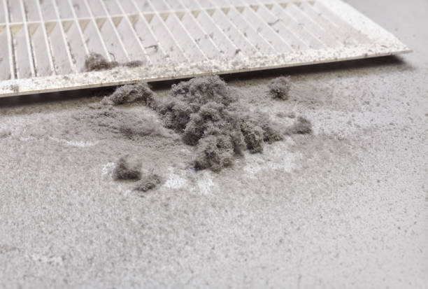 Best Professional Duct Cleaning Services  in League City, TX