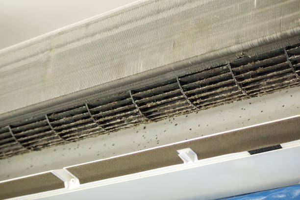 Best Commercial HVAC Duct Cleaning  in League City, TX
